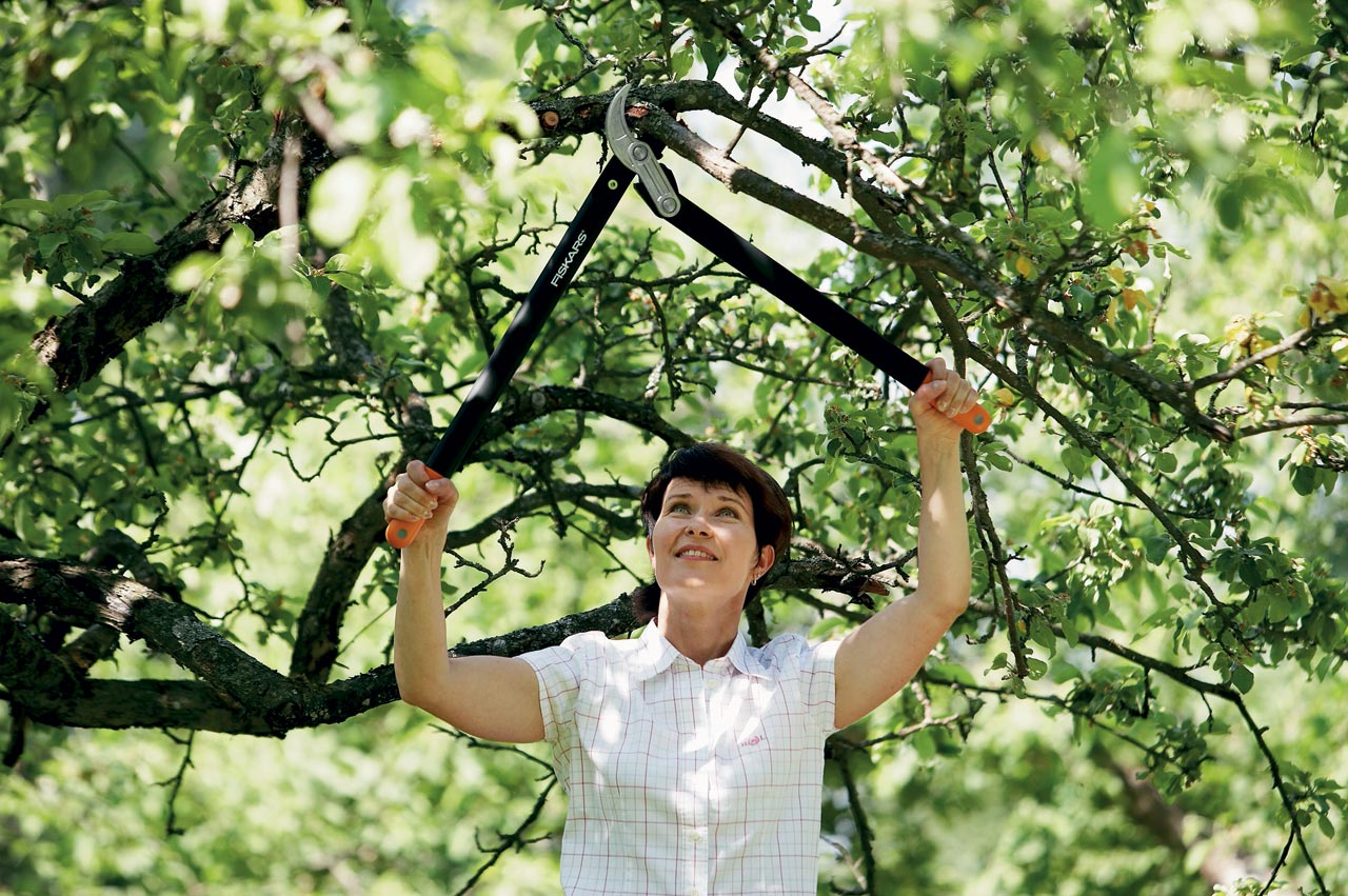 Увеличенная фотография Сучкорез Fiskars контактный с силовым приводом большой